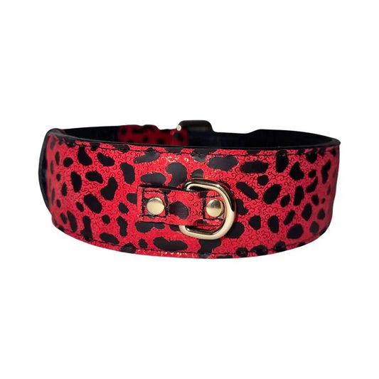 Red and black leopard print Italian leather classic collar with gold buckle