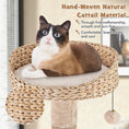 Gallery viewerに画像を読み込む, 59 Inches Cat Tree with Perch and Soft Hammock for Indoor Cats-Beige by DirectDeals
