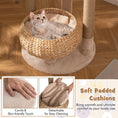 Gallery viewerに画像を読み込む, 59 Inches Cat Tree with Perch and Soft Hammock for Indoor Cats-Beige by DirectDeals

