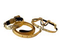 Carica l'immagine nel visualizzatore della galleria, Glam Gold Leather Pet Collar Harness & Leash Set by Allysa Payne Beverly Hills

