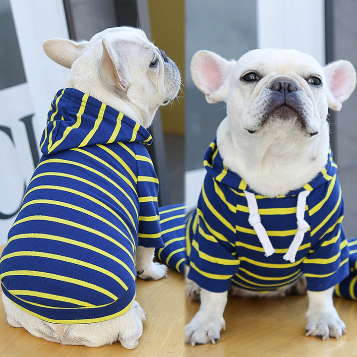 Dogs wearing navy-and-yellow striped hoodies