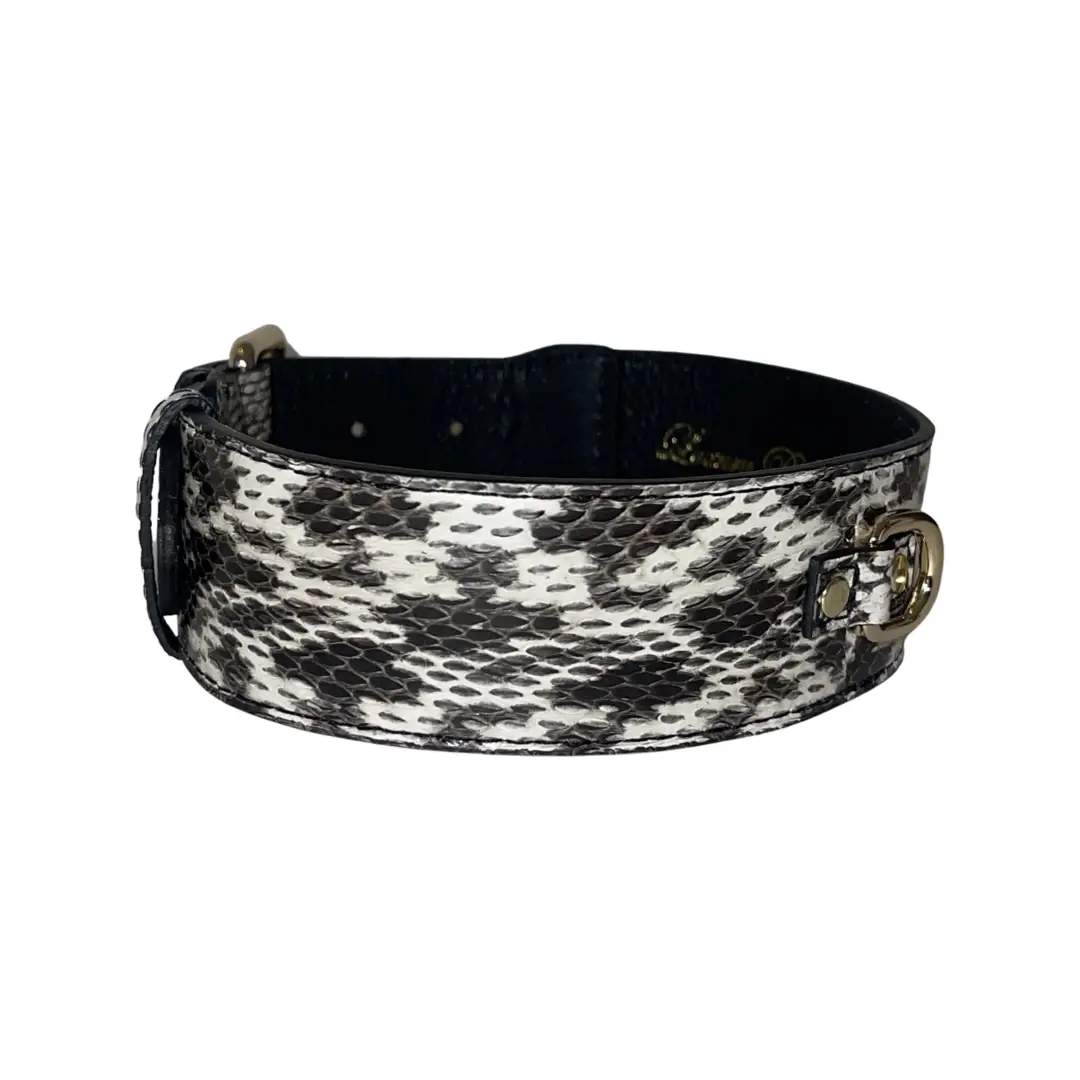 White &amp; Black Classic Snake Collar by Allysa Payne Beverly Hills, wide snakeskin-pattern with gold hardware