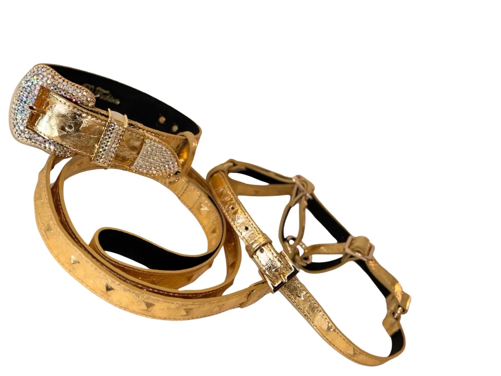 Glam Gold Leather Pet Collar Harness & Leash Set by Allysa Payne Beverly Hills