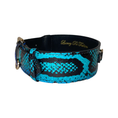 Carica l'immagine nel visualizzatore della galleria, Snake Classic Collar in electric turquoise blue and black snake print with gold hardware by Allysa Payne Beverly Hills
