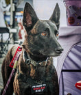 Load image into Gallery viewer, Break Shit Tactical Morale Patch Heavy Duty Hook Fastener Textile Velcro 3x2 Inch For Vest Backpack One Size by kiloninerpets
