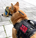 Bild in Galerie-Betrachter laden, Yes I Do Bite Morale Patch With Velcro Hook Backing 3.25x1.75 Inch by kiloninerpets
