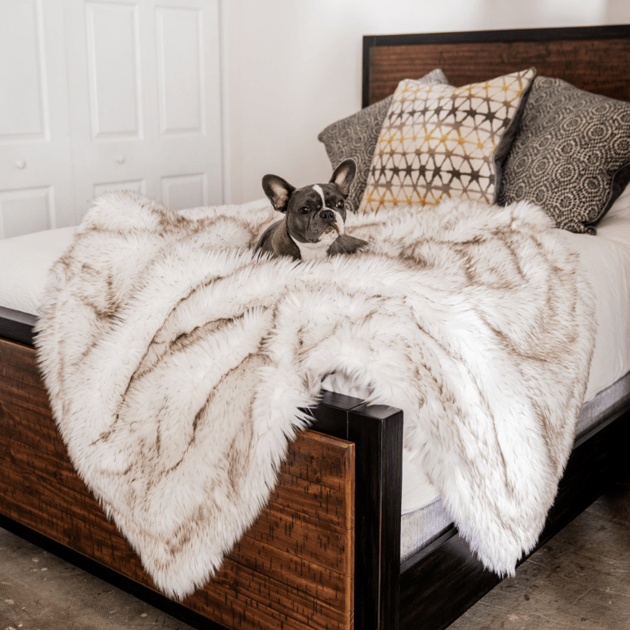 PupProtector Waterproof Throw Blanket white with brown accents on bed; dog lounging on plush throw