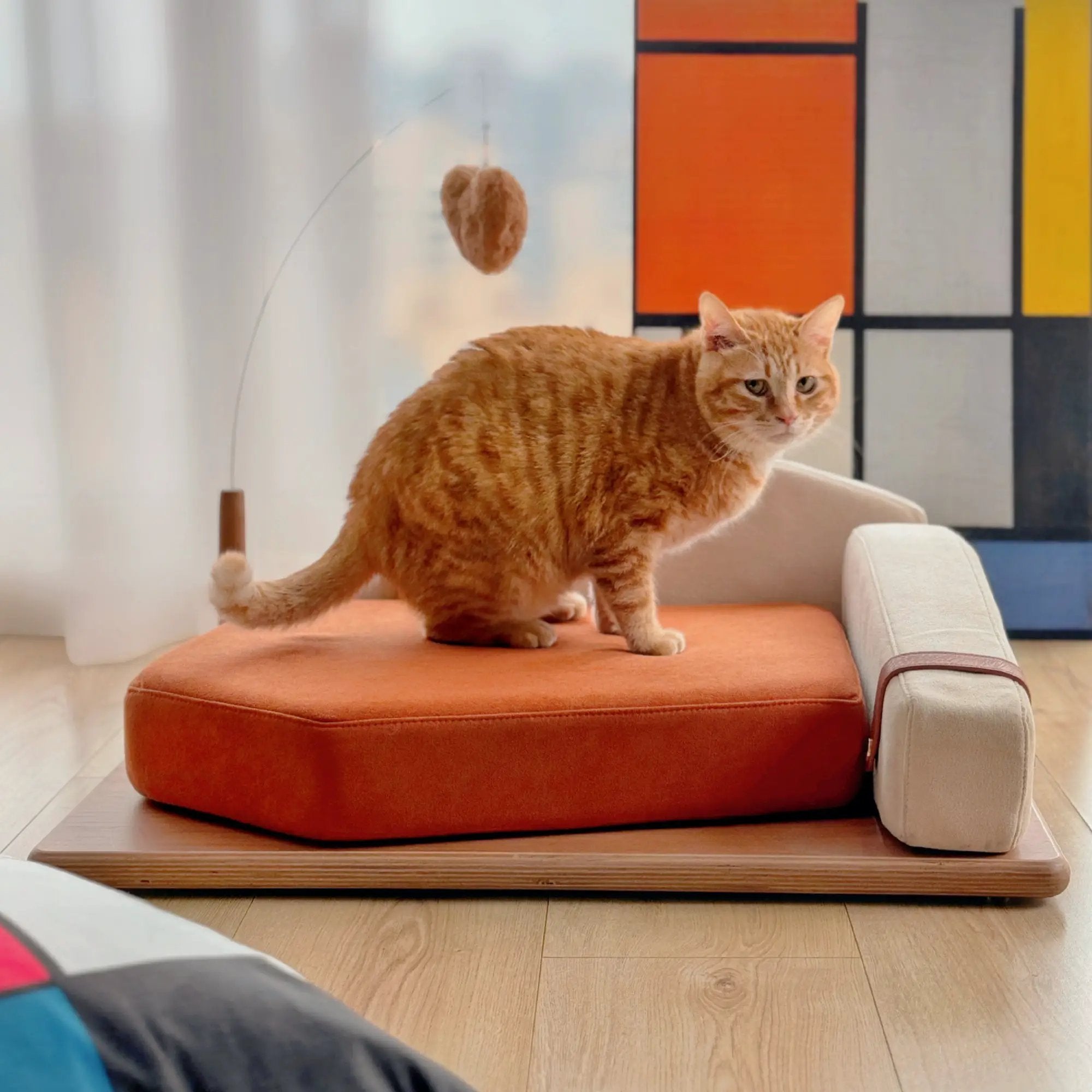 Wooden pet bed for cats & dogs with orange cushion and wooden base by Home Furnishers