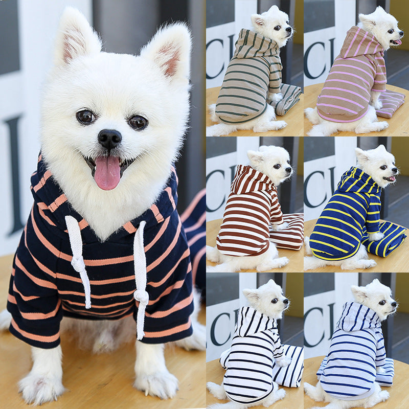 Dog wearing striped hoodie with color examples
