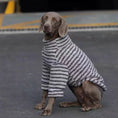Load image into Gallery viewer, Soft and Warm Stripe Dog Sweater; gray and white plush knit, SOCKPET brand.
