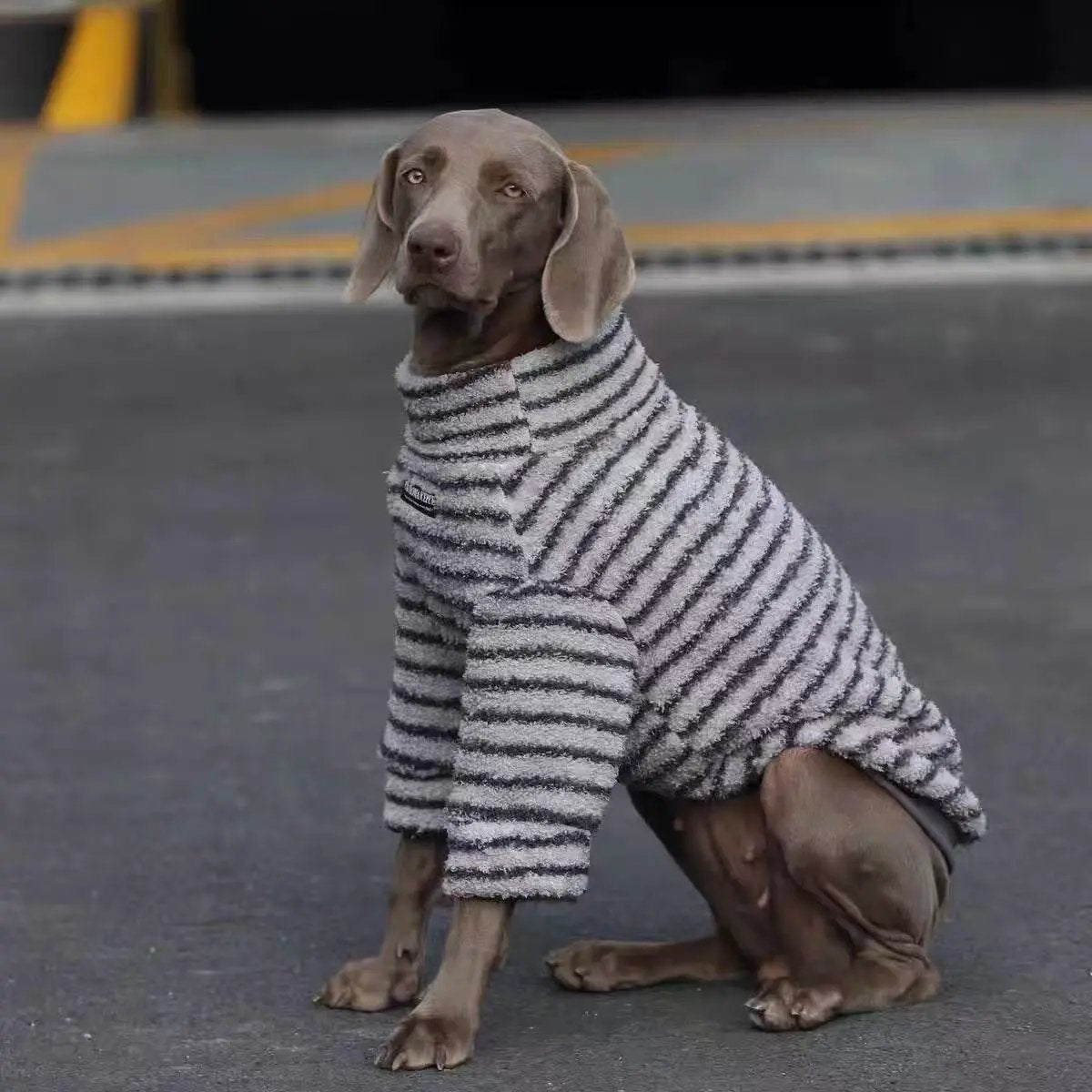 Soft and Warm Stripe Dog Sweater; gray and white plush knit, SOCKPET brand.