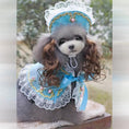 Load image into Gallery viewer, Pet Zen Christmas dog costume in blue lace with bonnet and bow

