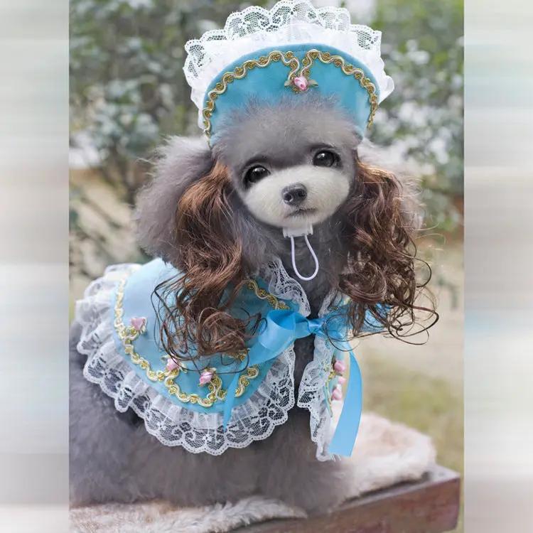 Pet Zen Christmas dog costume in blue lace with bonnet and bow
