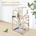 Load image into Gallery viewer, Bird Playground Playstand by PawMart, wooden stand with 3 ladders, rope perches and metal tray
