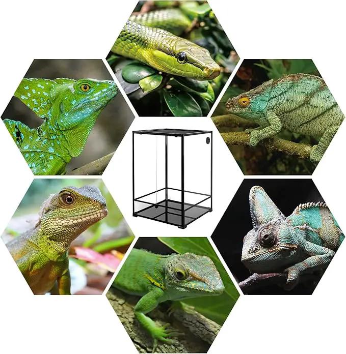 Reptile terrarium 90-gallon glass vivarium with front-opening door, shown in a hexagonal collage with green lizards