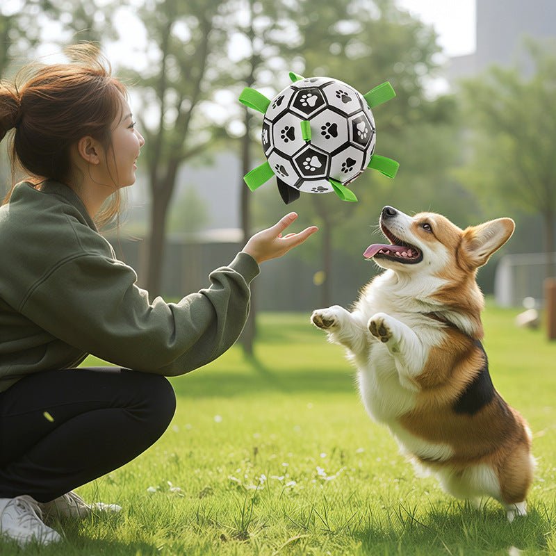Paw Print Soccer Ball Dog Toy with Grab Tabs – photo 2