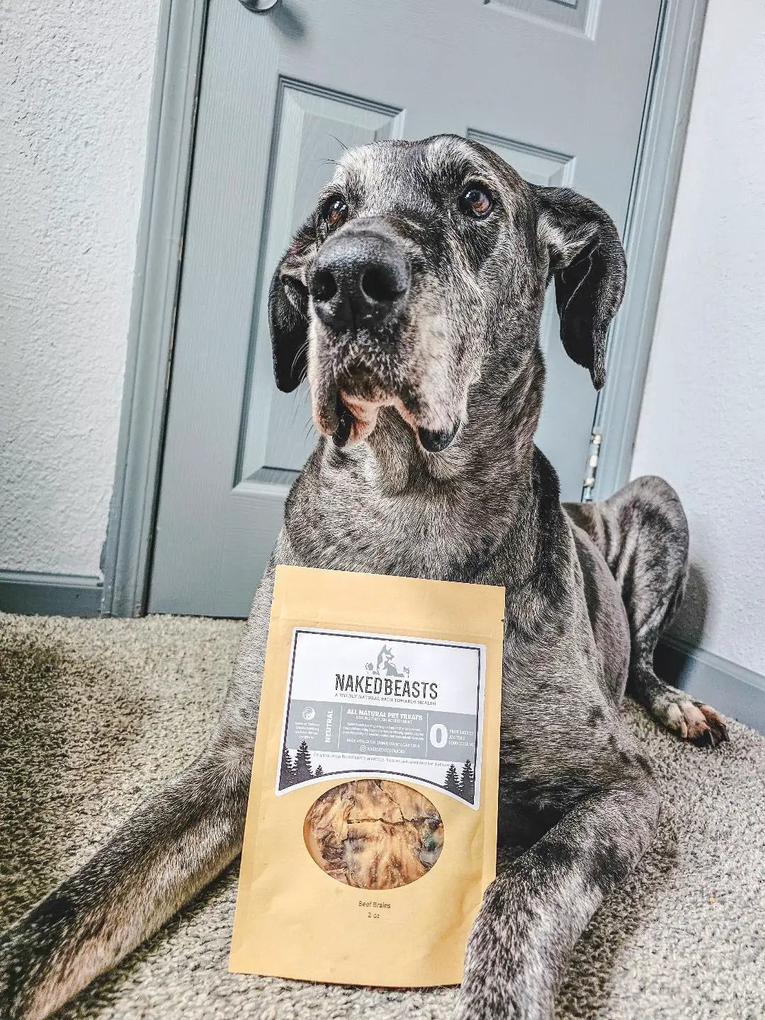 Beef Brain - Thin Cut dog treats by Naked Beasts in a brown paper pouch beside a gray dog.