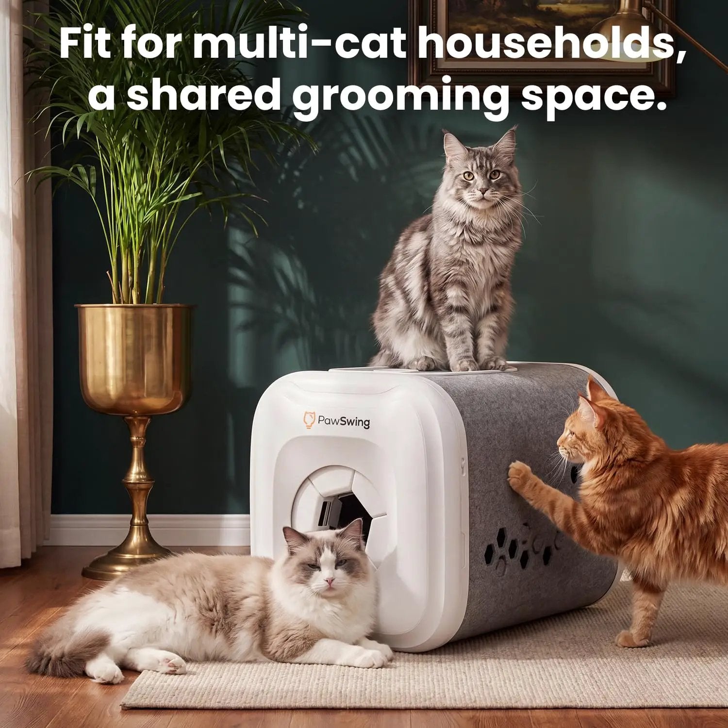 Cat Self Groomer Plus 360 Brush Fur Collector for Large Cats by Wags & Whiskers Pet Supply