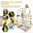 Load image into Gallery viewer, PawMart Bird Playground playstand with ladders, rope perch, swings and feeder cups for small–medium birds
