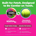 Charger l'image dans la visionneuse de la galerie, WUNDERball - Best Fetch Toy
