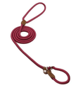 Bild in Galerie-Betrachter laden, Nylon Pup Set Premium Leather Collar Leash Double Stitch Design by For Animals, With Love
