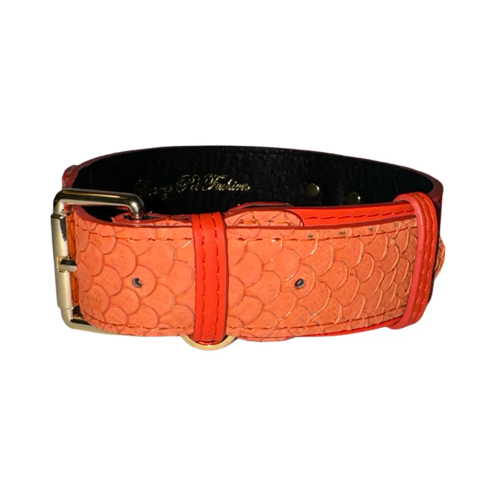 The Perfect Orange Classic Collar by Allysa Payne Beverly Hills, orange textured leather with gold buckle