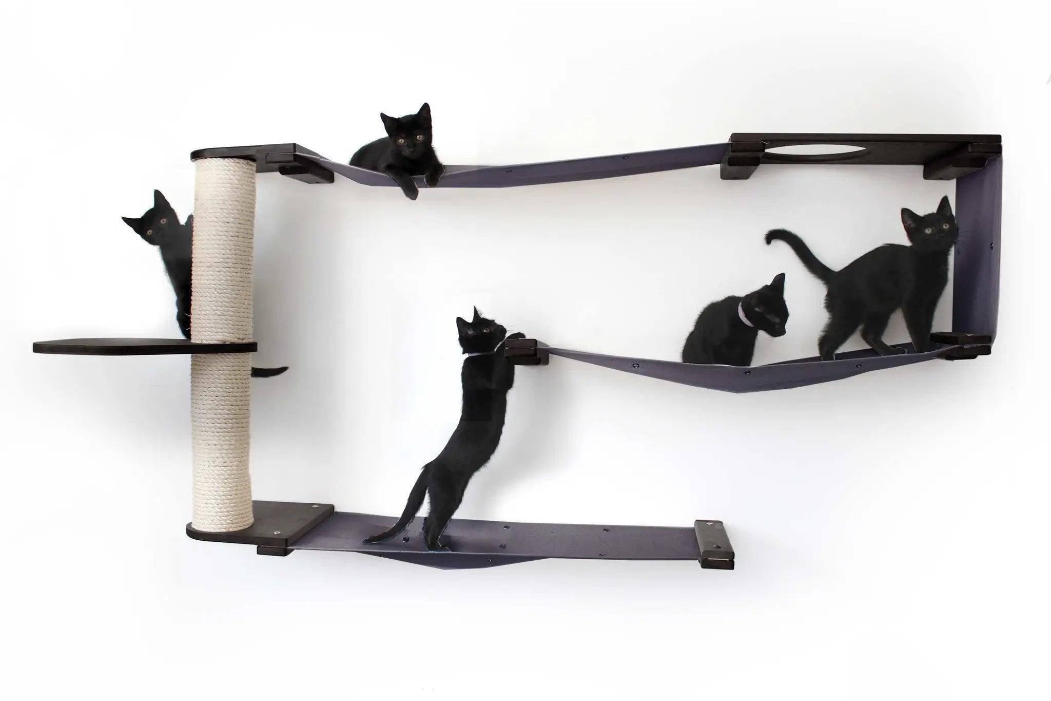 Cat Maze Wall - 3 Tier Cat Tree Cat Condo in dark purple with a sisal-wrapped post; four black cats climbing.