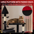 Load image into Gallery viewer, 75-inch Gothic cat tree with black plush fabric and sisal-wrapped posts, cat lounging on top perch
