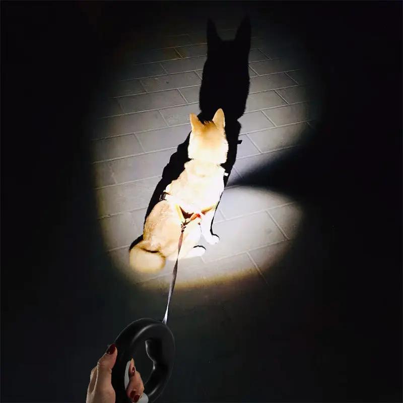 Premium LED Retractable Dog Leash 3m With Free Grooming Glove by Pawpampered