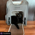 Carica l'immagine nel visualizzatore della galleria, Mr. Peanut's Aspen Series backpack pet carrier, gray fabric with front opening and a black cat inside.
