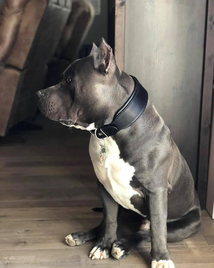 Bestia Style Black Italian Leather Dog Collar