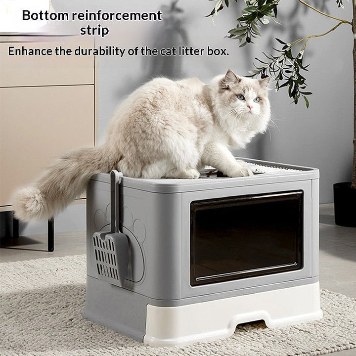 Litter-box base reinforcement graphic