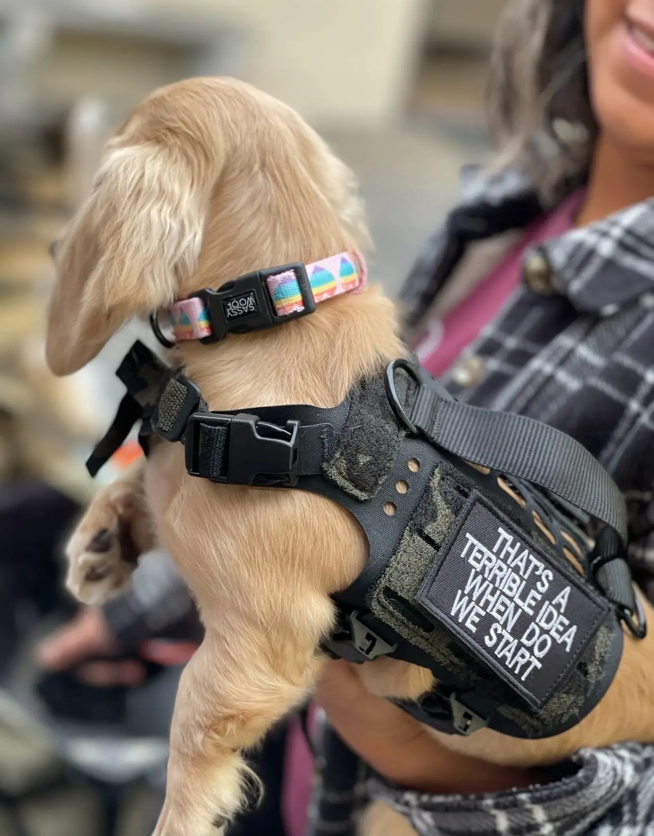 Terrible Idea Morale Patch That's A Terrible Idea When Do We Start Velcro Hook Backing Tactical Vest by kiloninerpets
