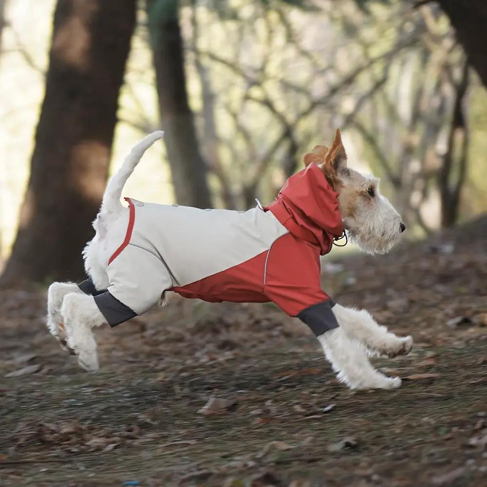 SOCKPET Spring Dog Rainproof Jacket, cream and red color-block dog coat with hood