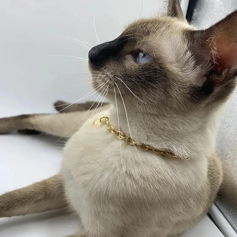 Luxury Stainless Steel Pet Love Heart Pendant Necklace Curb Chain For Cat Dog Gold Silver 18 25 30 38 Cm by Sell My Stuff