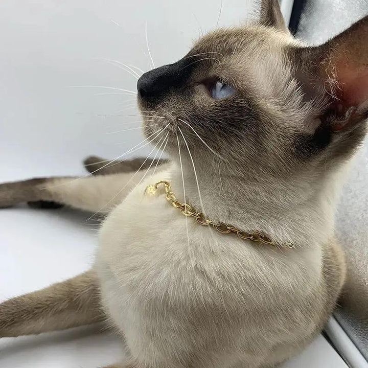 Luxury Stainless Steel Pet Love Heart Pendant Necklace Curb Chain For Cat Dog Gold Silver 18 25 30 38 Cm by Sell My Stuff