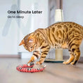 Load image into Gallery viewer, Interactive USB Snake Cat Toy by KittenPlay by For Animals, With Love
