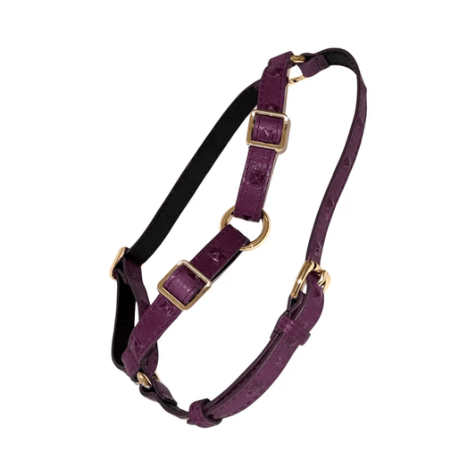 Glamourstuds Boysenberry Studded Italian Leather Harness by Allysa Payne Beverly Hills