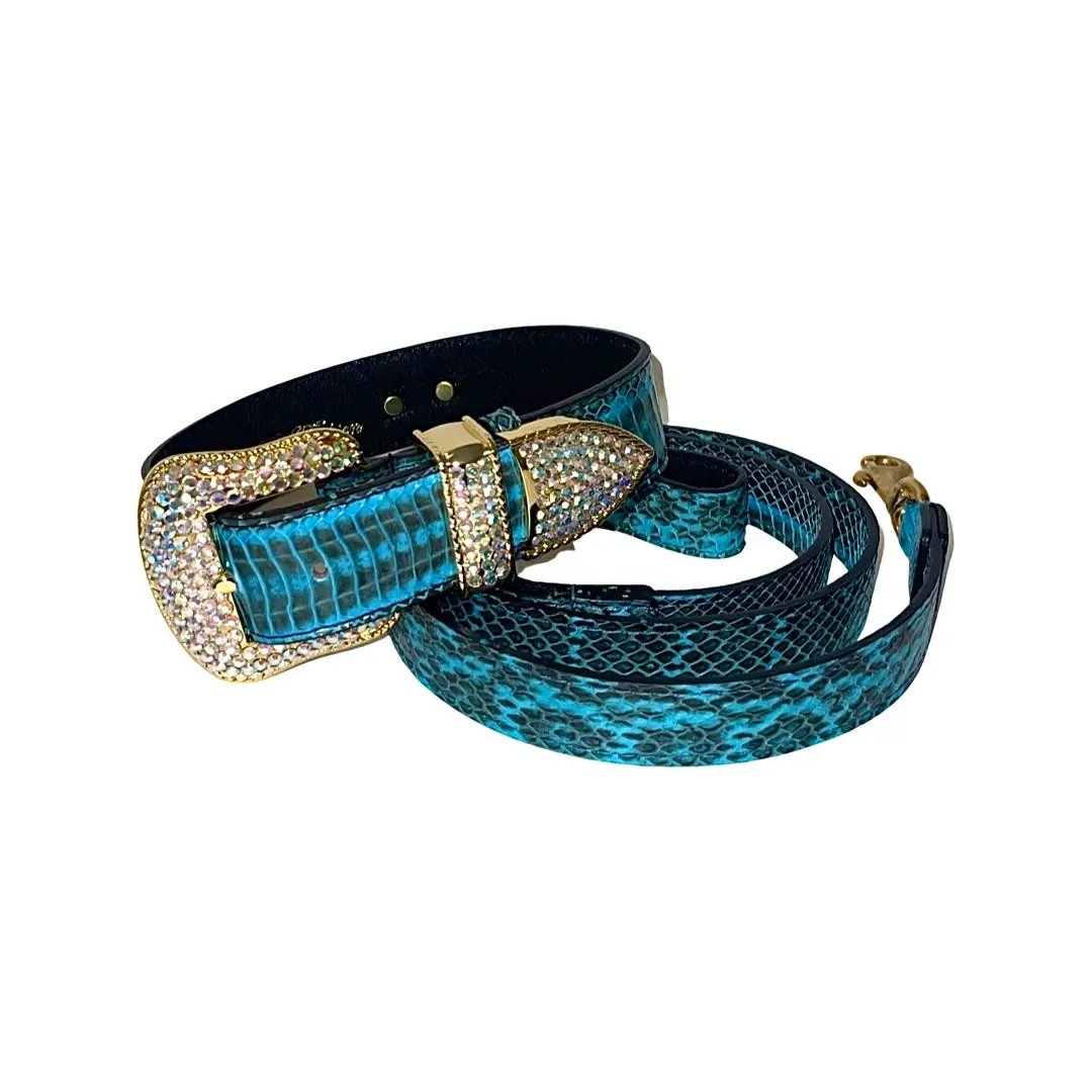Turquoise snake collar and leash set, 2-piece, with Swarovski crystal hardware by Allysa Payne Beverly Hills