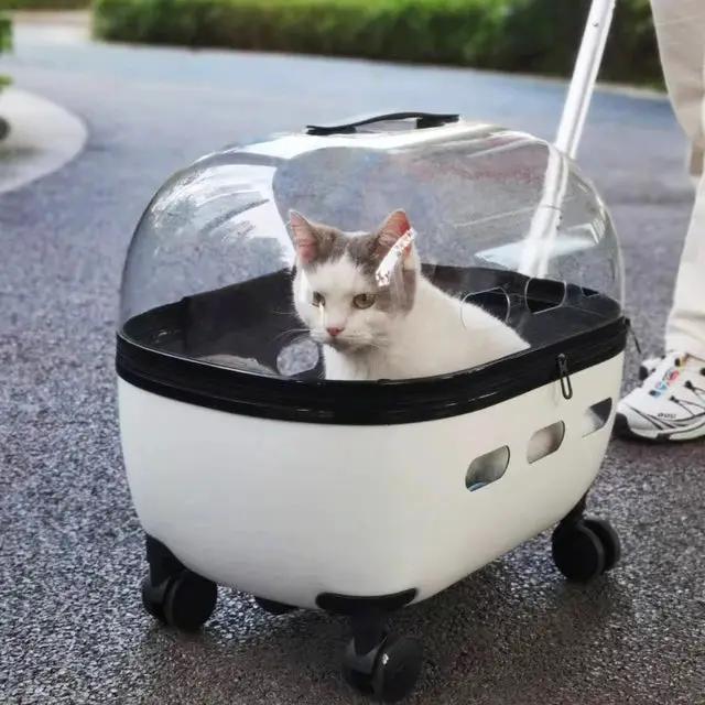 Pet travel capsule trolley carrier on wheels with a clear dome and white base; cat inside.