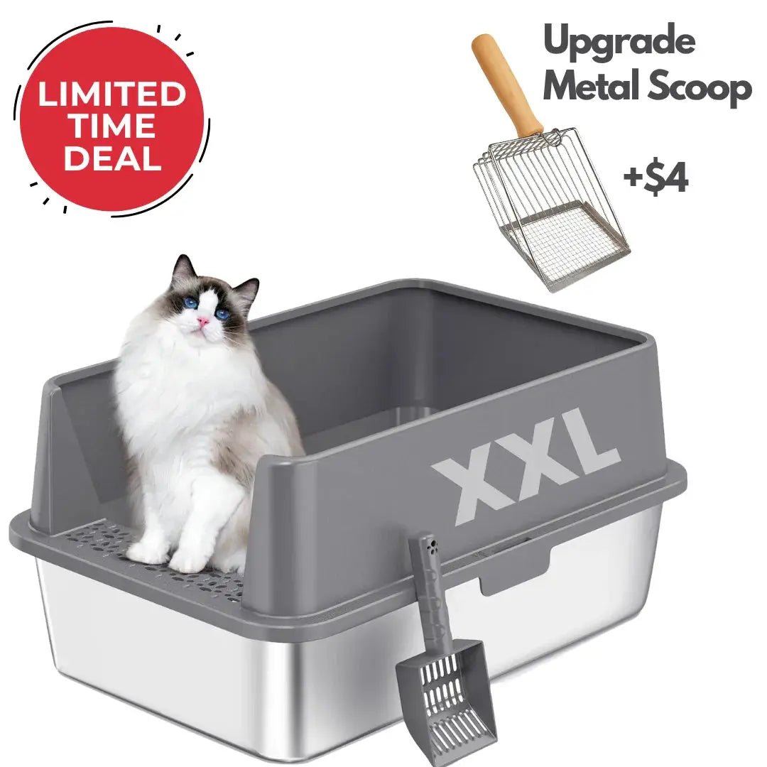 XXL 304 Stainless Steel Cat Litter Box by 4FurBaby