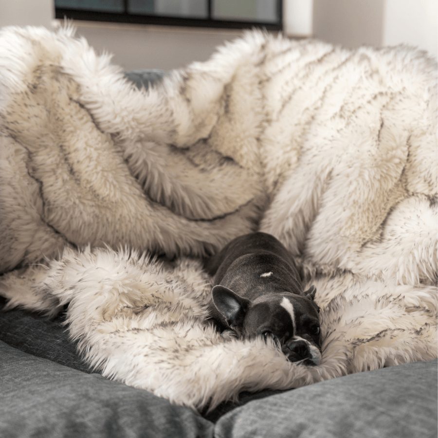 PupProtector Waterproof Throw Blanket white with brown accents, plush faux-fur dog blanket