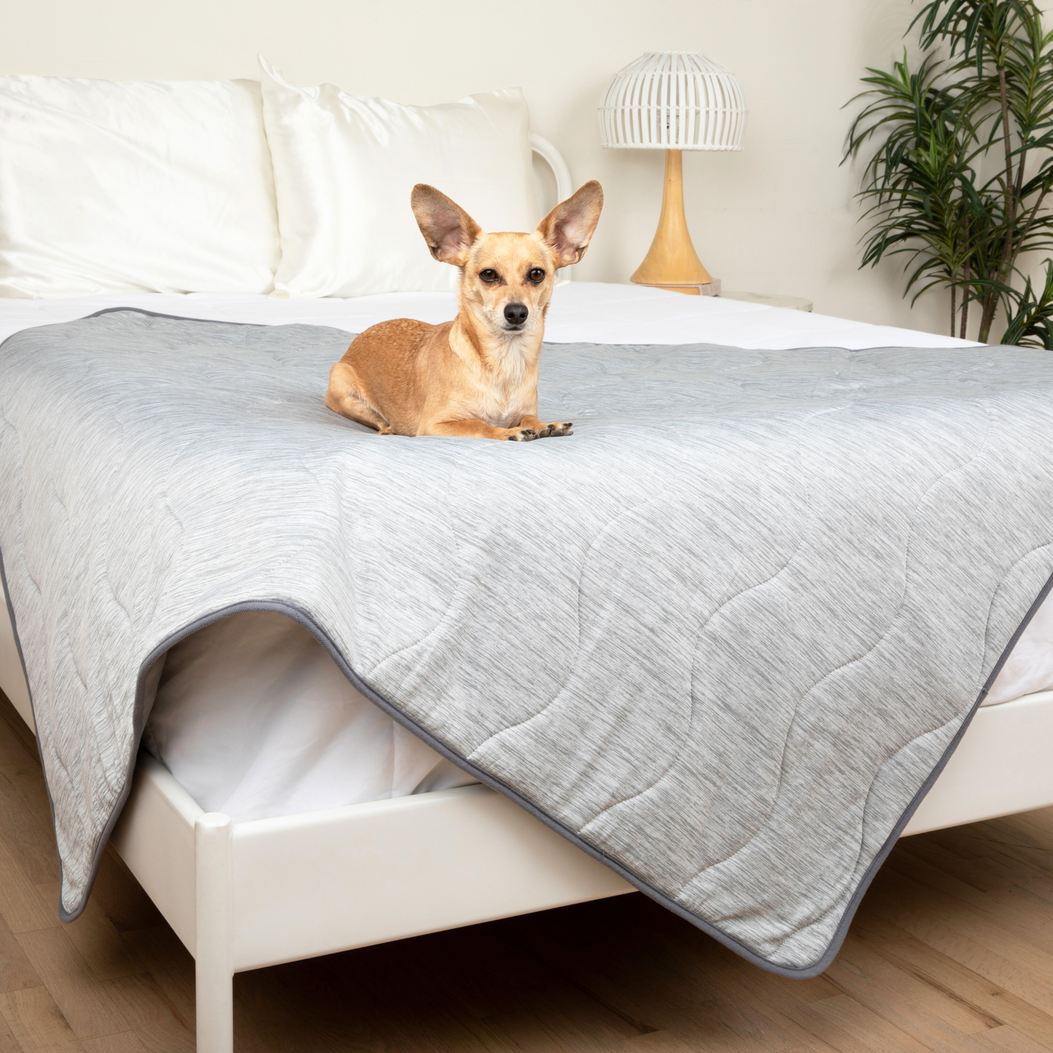 Paw.com PupChill cooling waterproof blanket, Arctic Grey, on a bed with a dog