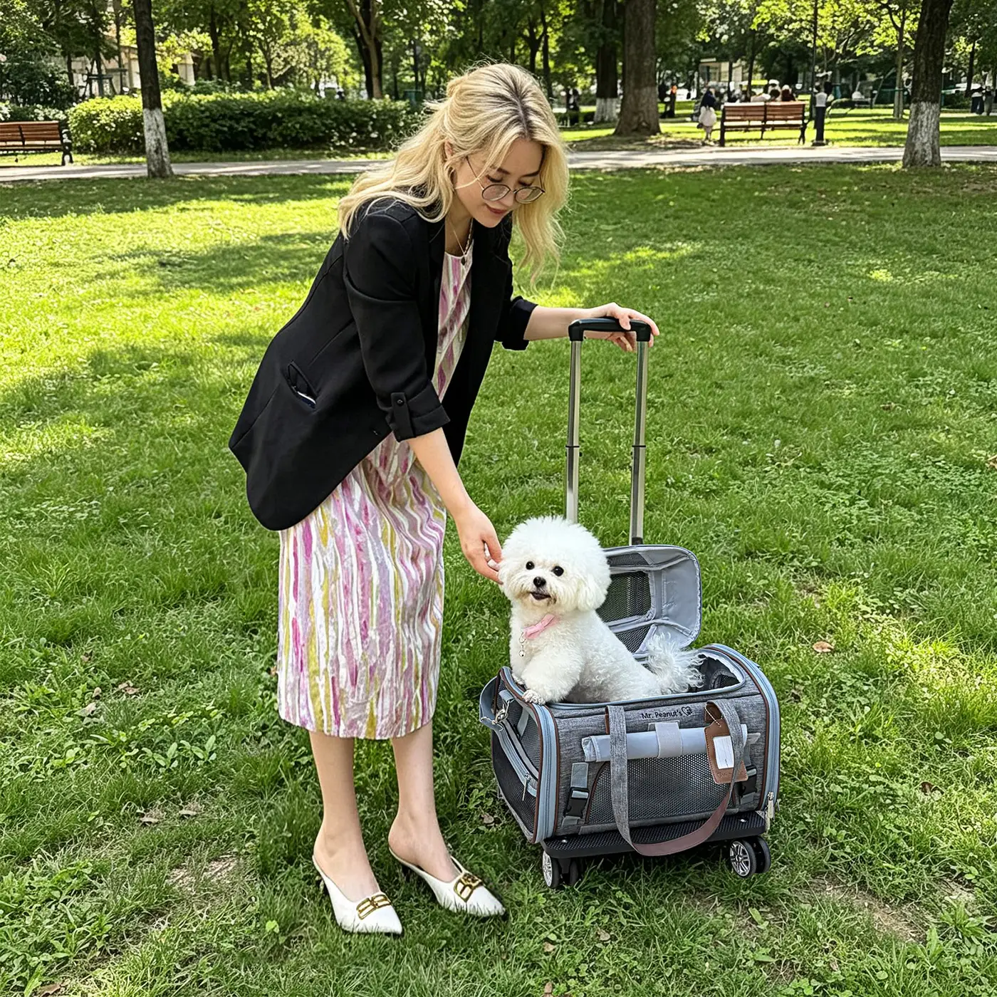Mr. Peanut's Gold Series Expandable V3.0 Pet Carrier, gray with mesh panels, on a rolling case with a small white dog.
