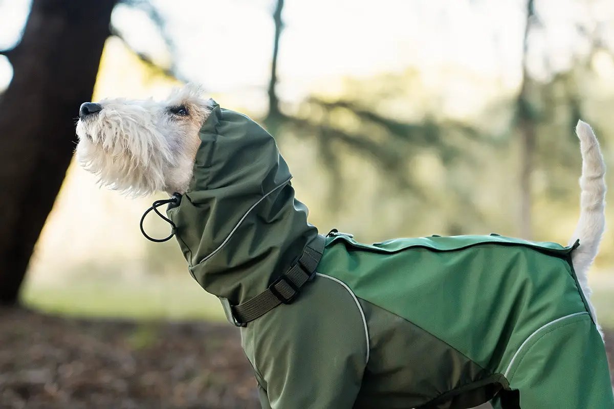 Spring Dog Rainproof Jacket in green for pets; hooded, waterproof coat with reflective piping.