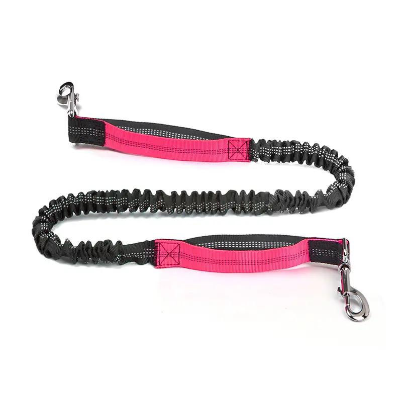 Cross-Border Pet Running Waist Bag With Leash by For Animals, With Love