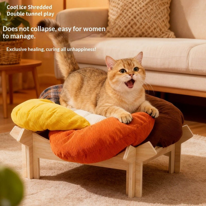 Cat resting in warm-color petal bed