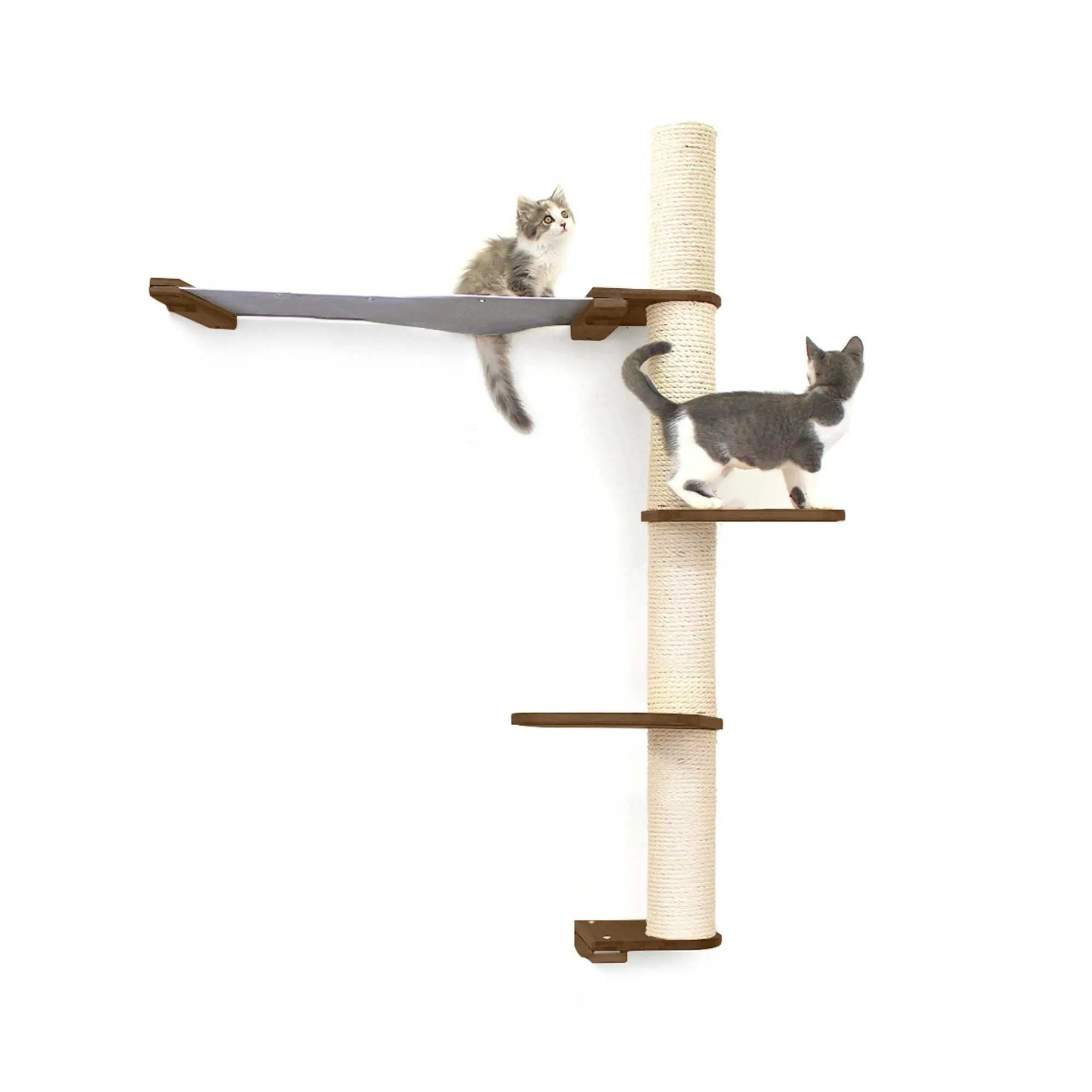 The Crow's Nest wall cat condo with hammock by Catastrophic Creations; sisal post, wooden platforms; two cats.