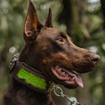 Load image into Gallery viewer, The ''Venom'' collar - Pet Collars & Harnesses from Bestia Dog Gear
