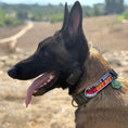 Load image into Gallery viewer, Talk Shit Get Bit Morale Patch 4.5x1.5 Embroidered Hook Fastener by kiloninerpets
